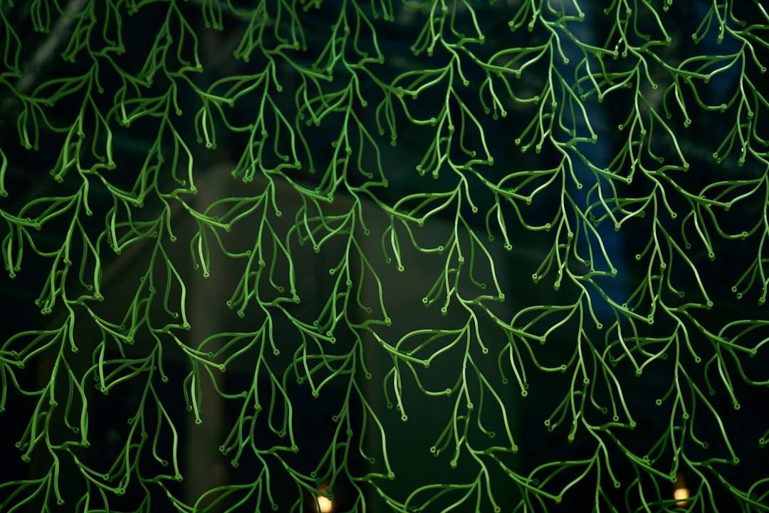A cheerful and festive image featuring Buddy the Elf in his iconic green suit, smiling broadly. The background should be a snowy, magical Christmas scene, possibly with elements from the North Pole or New York City. The overall feeling should be one of joy and holiday excitement.