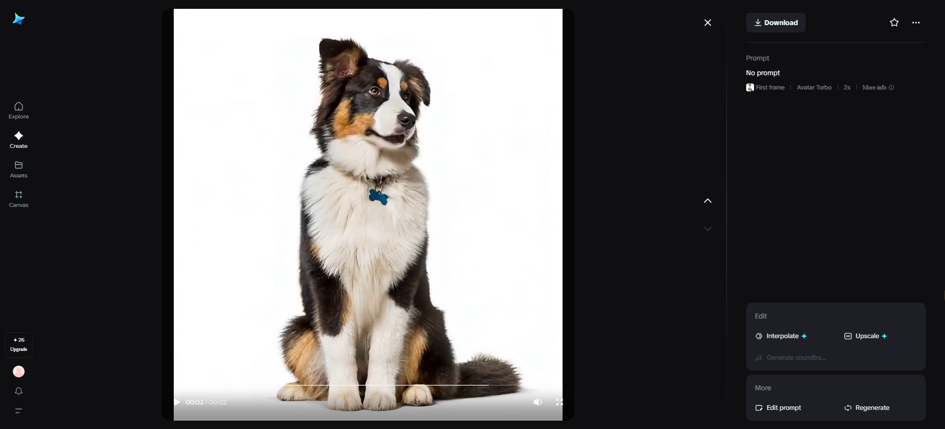 Holiday pet messages