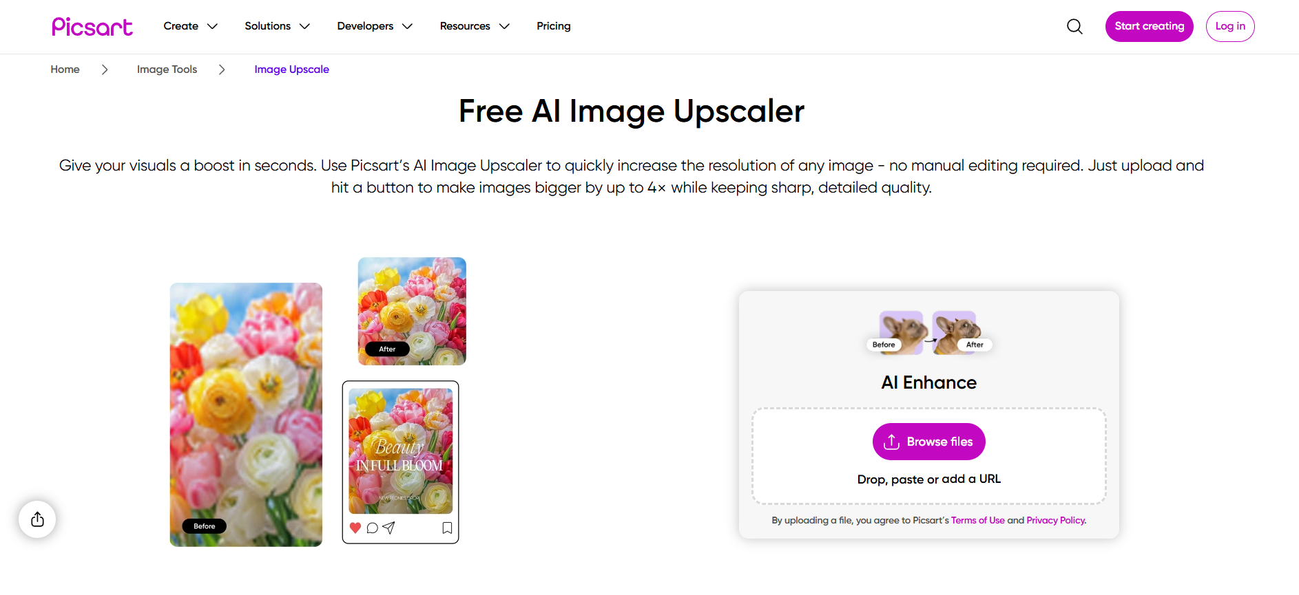 Giao diện Picsart