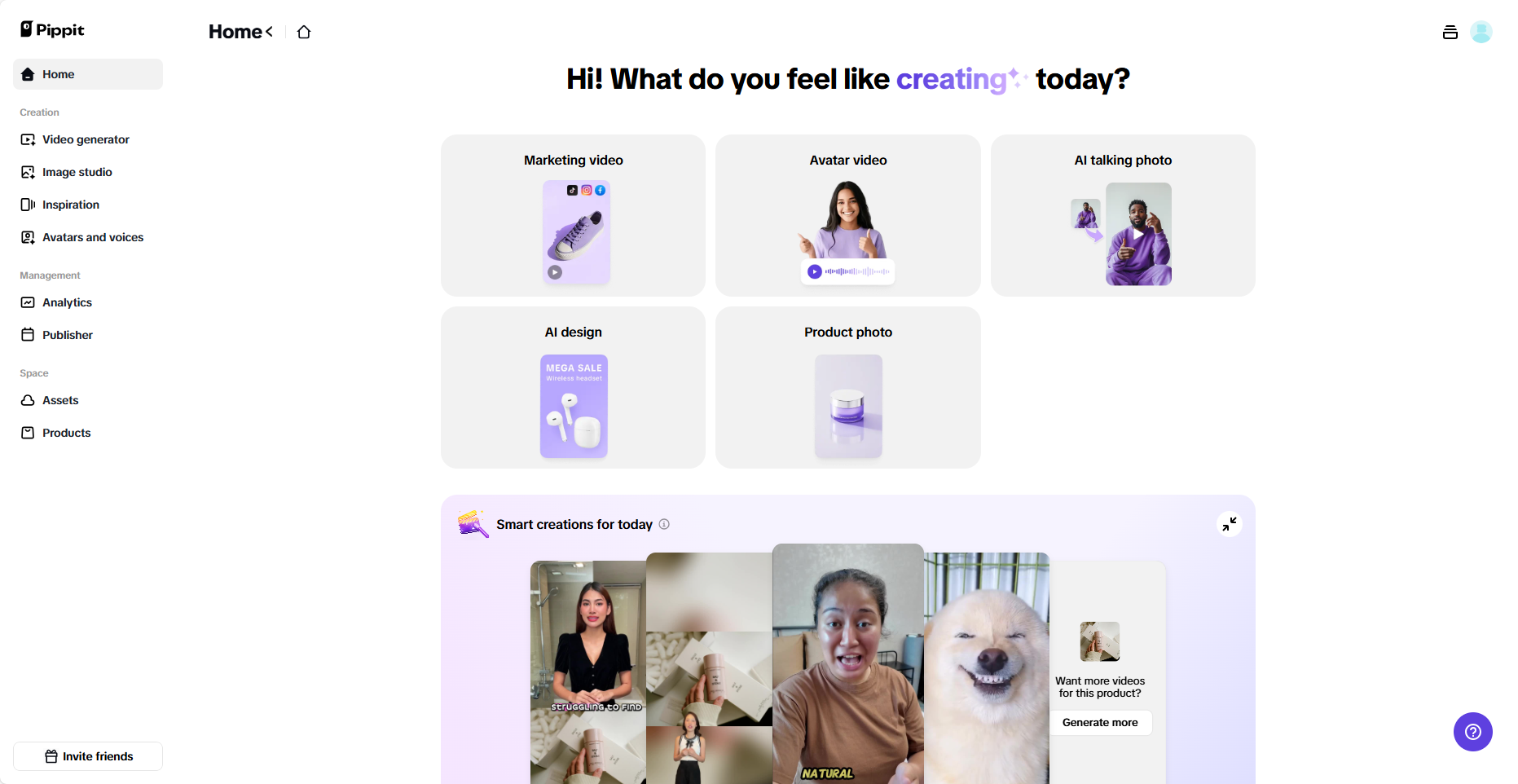 Pippit interface