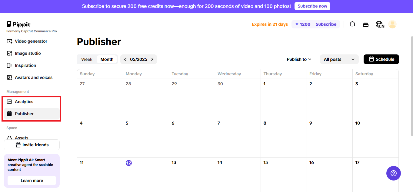 Pippit's publishing and analytics options.