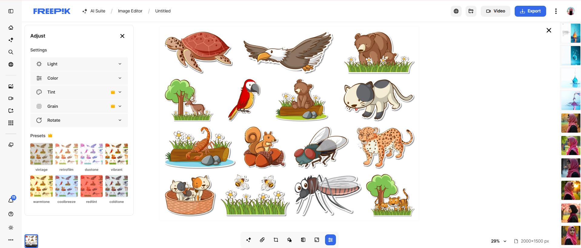 Thanksgiving day clipart on Freepik with vintage and modern turkey art