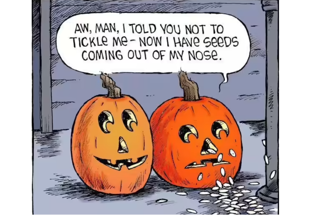 Categories of funny Halloween memes-Pumpkin humor