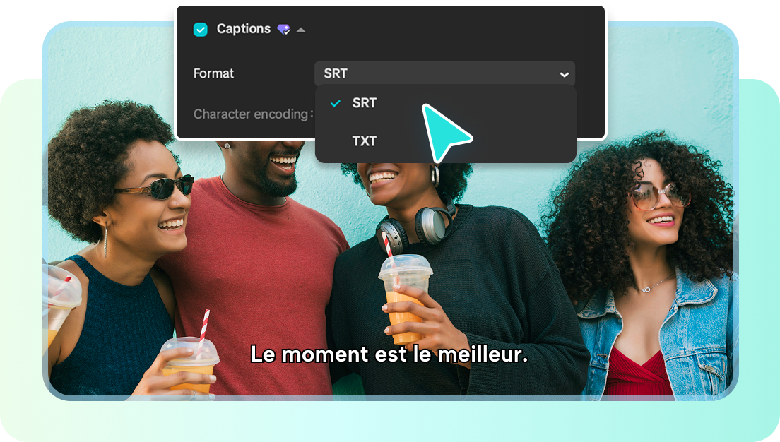 Export Spanish to French translation subtitles in multiple formats