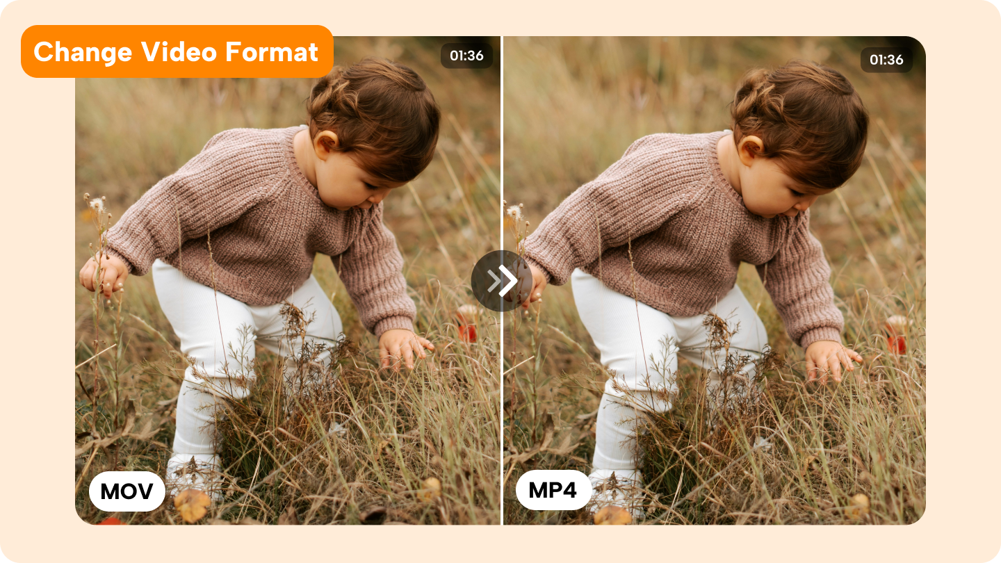 how to change video format