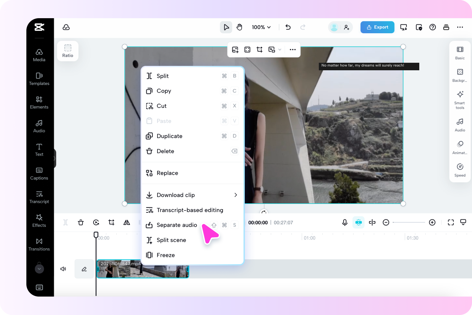 Separate the audio/voice track and delete/remove it