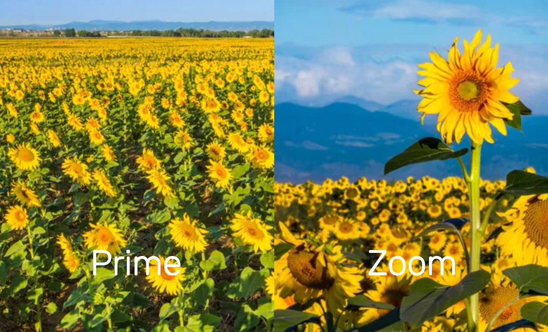 Prime & zoom lens for travel photography