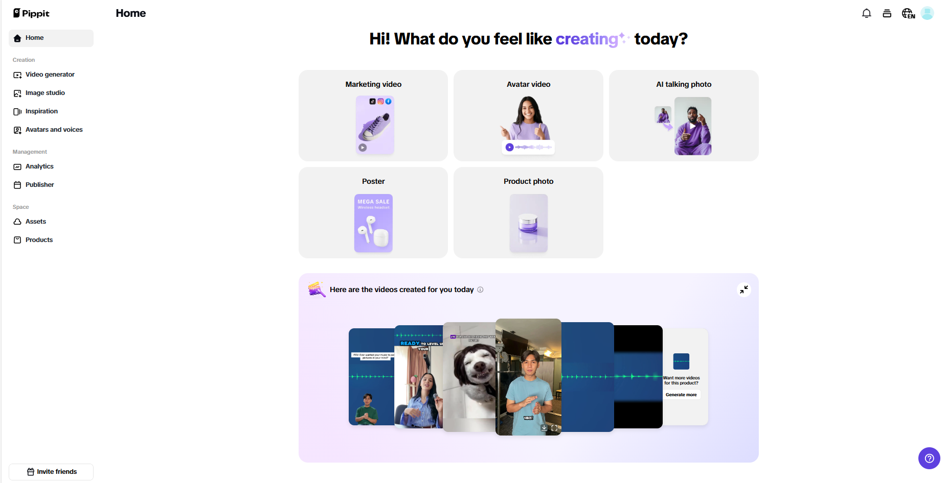 Pippit interface