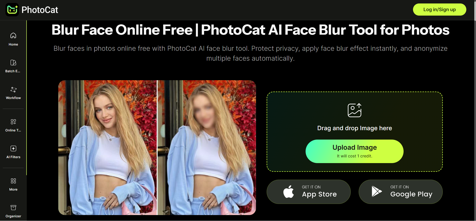 Photocat - a user-friendly blur face app