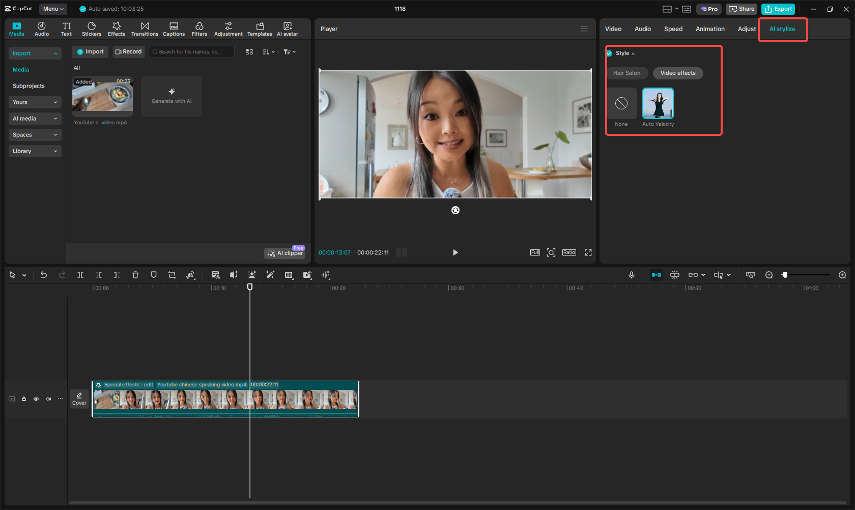 Apply an AI stylize effect to the video