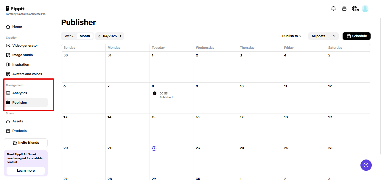 Pippit auto publisher