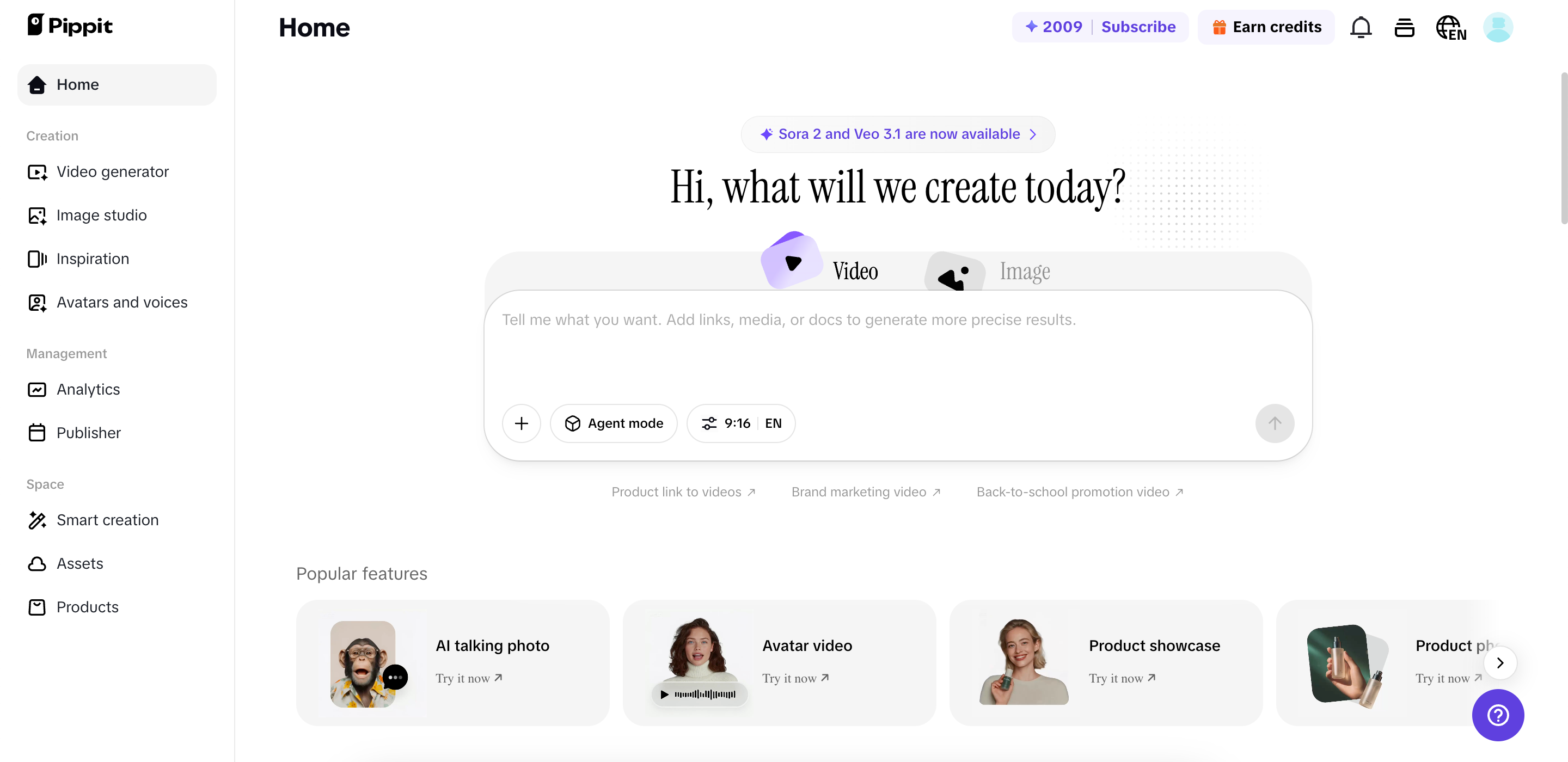 Pippit interface