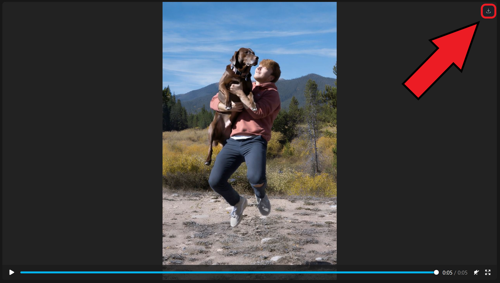 Das Video herunterladen