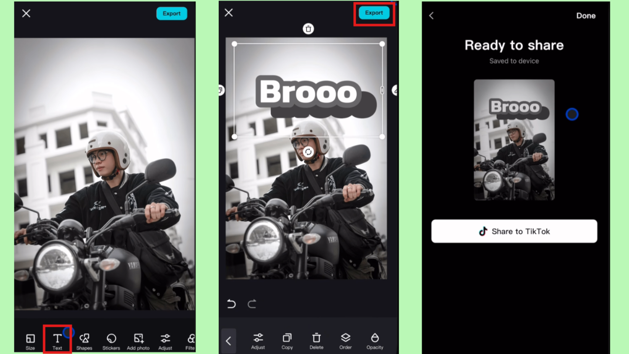 CapCut App's text interface