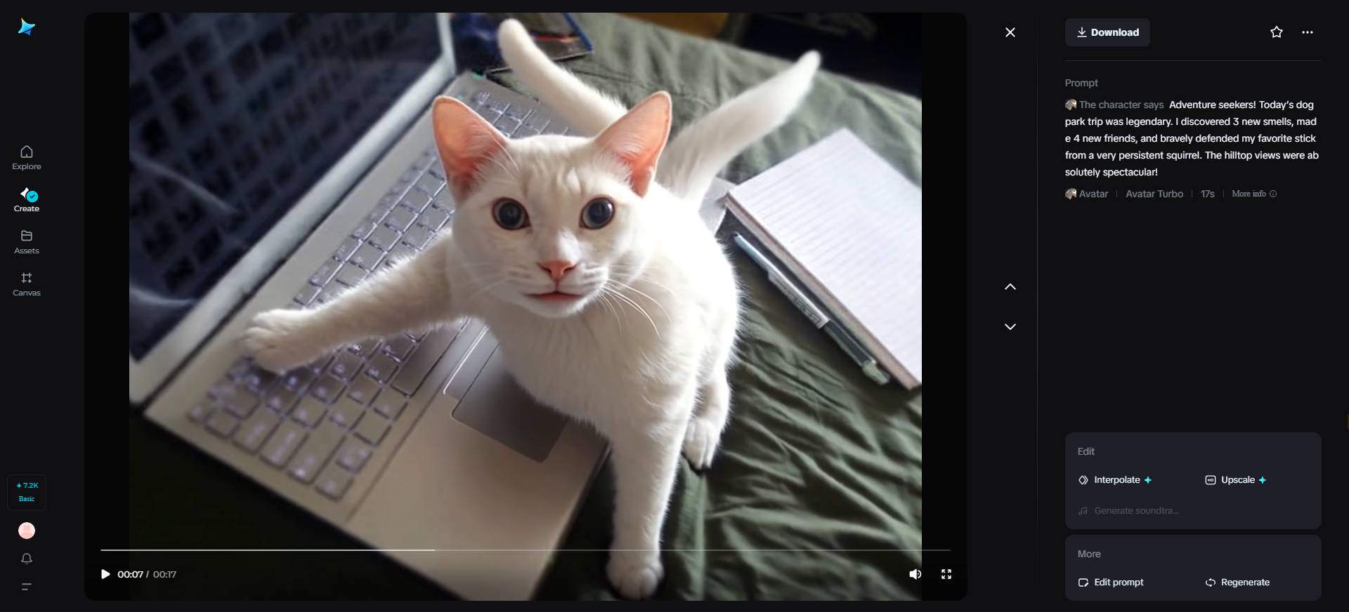 Social media influencer pet