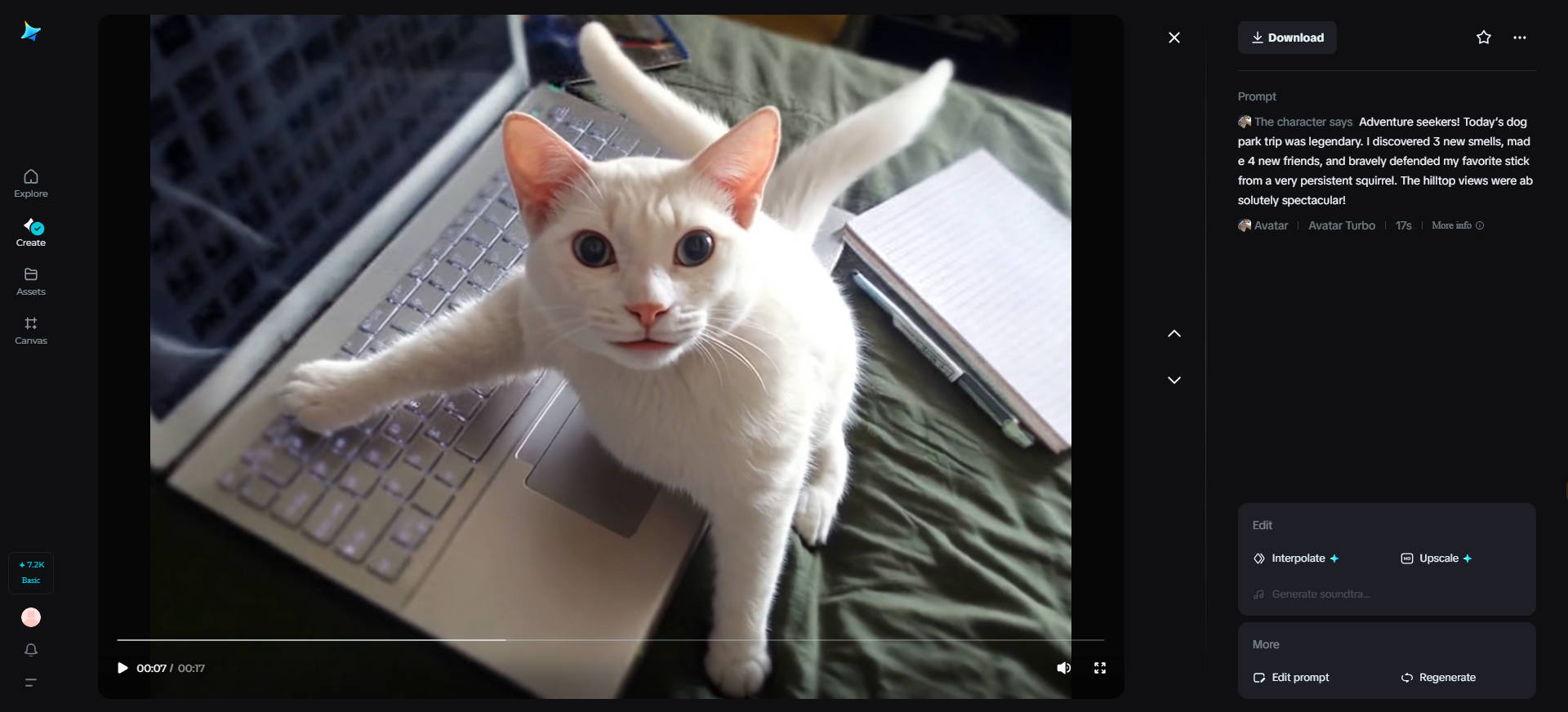 Social media influencer pet