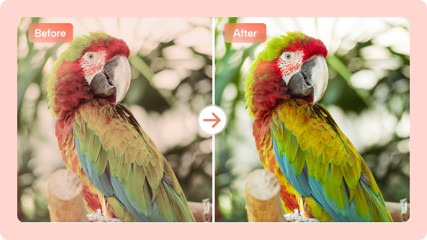 White Balance Photography: 3 Powerful Methods to Fix Colors Instantly