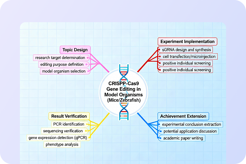 study and learning enhancement