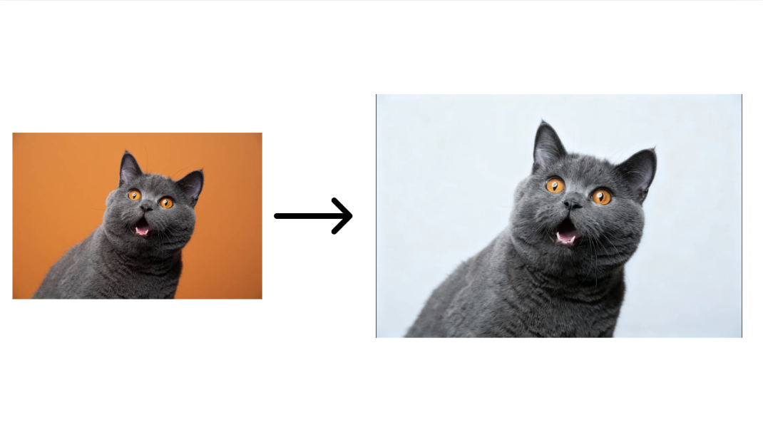AI background remover