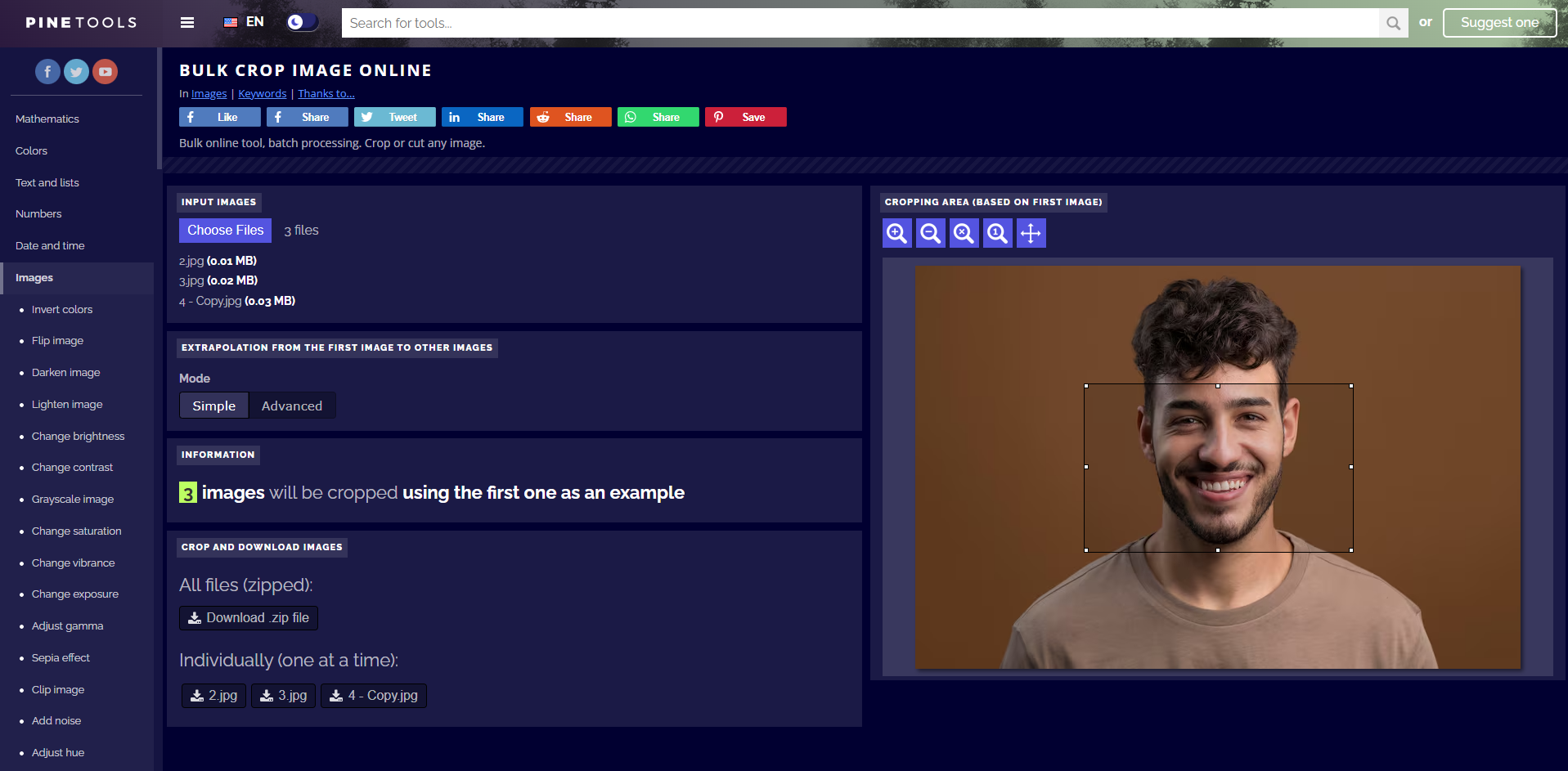 Interface of PineTools - another tool to batch crop images