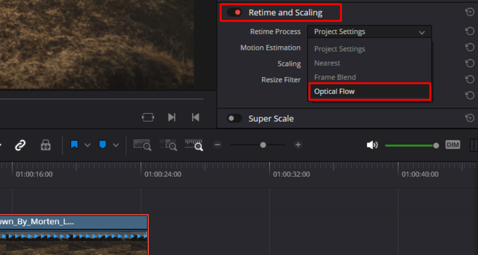Apply Optical Flow in DaVinci Resolve
