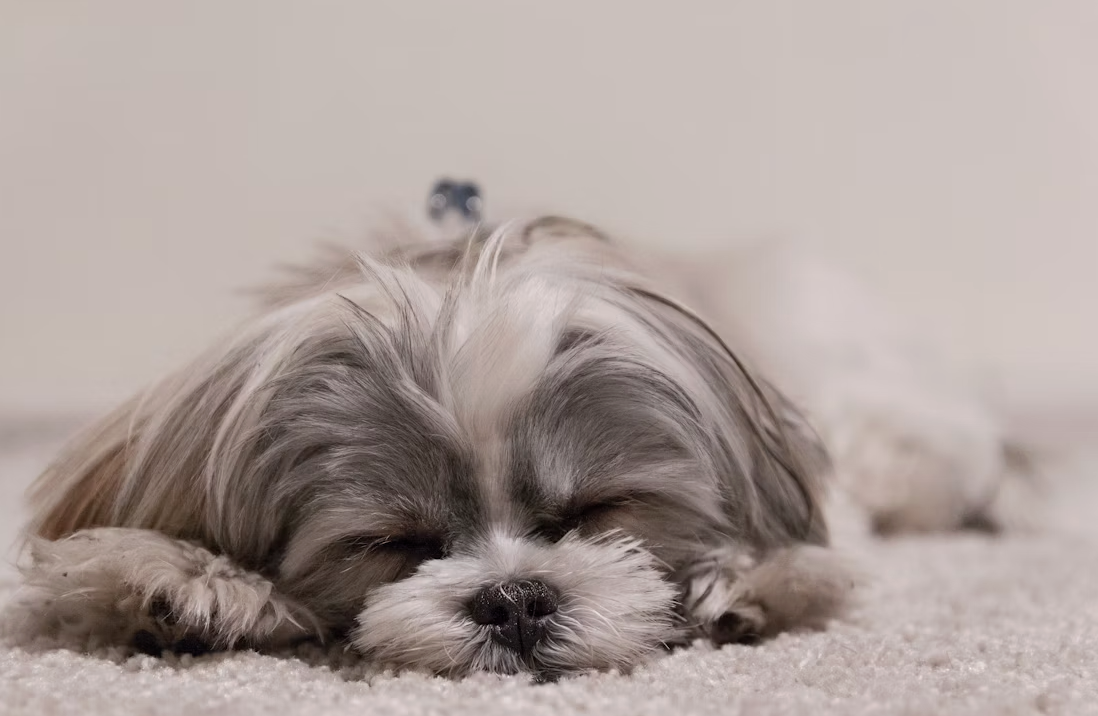 A cute and heartwarming image with a variety of colorful hearts and adorable illustrations. The background is a soft pastel color, creating a warm and inviting atmosphere. The overall design is sweet and charming, perfectly capturing the essence of cute quotes.