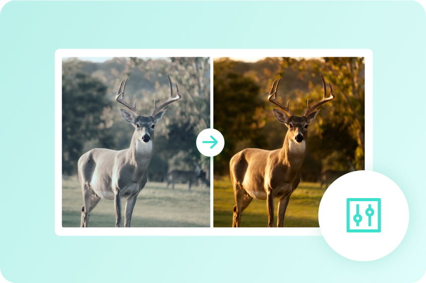  creative editing with AI color correction