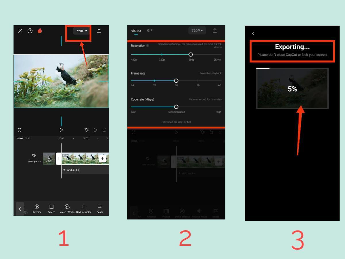 CapCut file Export