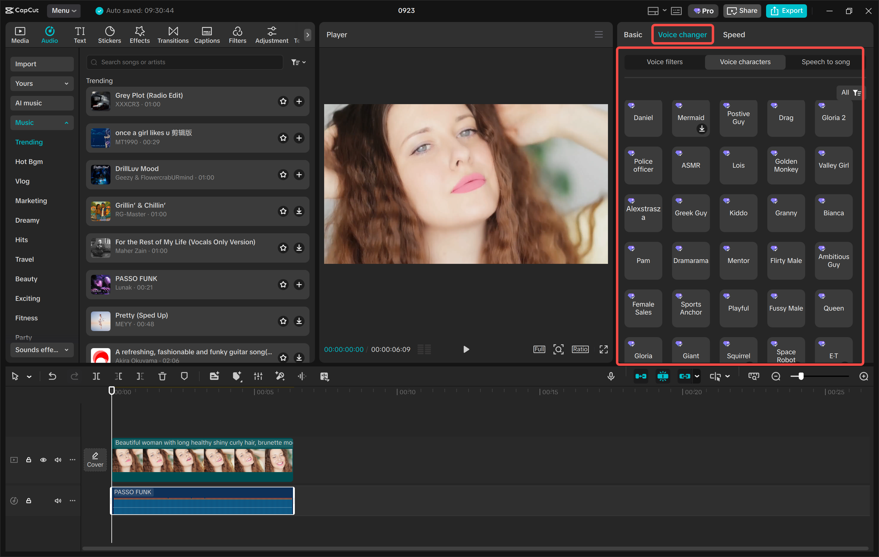 Apply a voice filter to your video