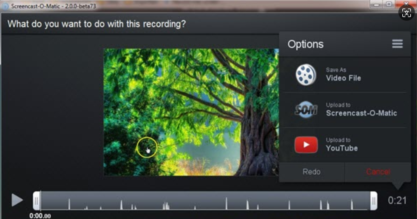 Interface of Screencast-O-Matic - an ideal hidden screen recorder