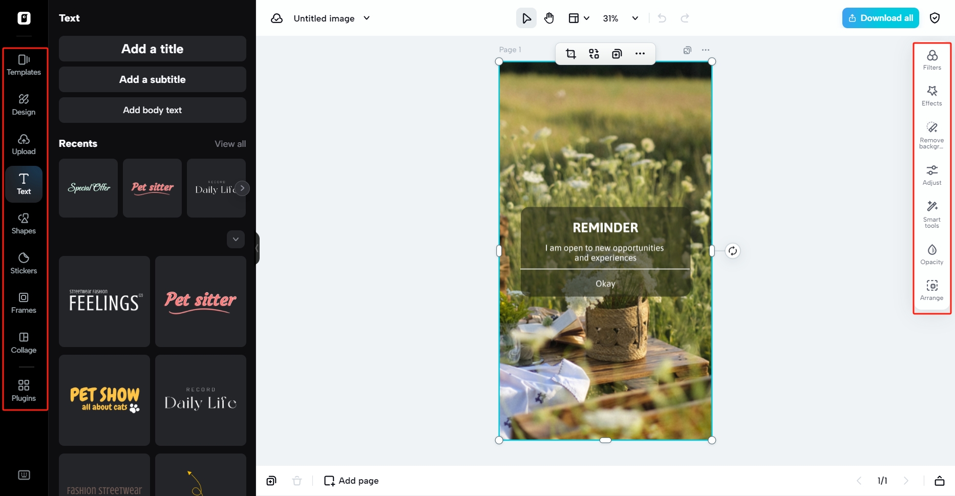 Pippit editing space