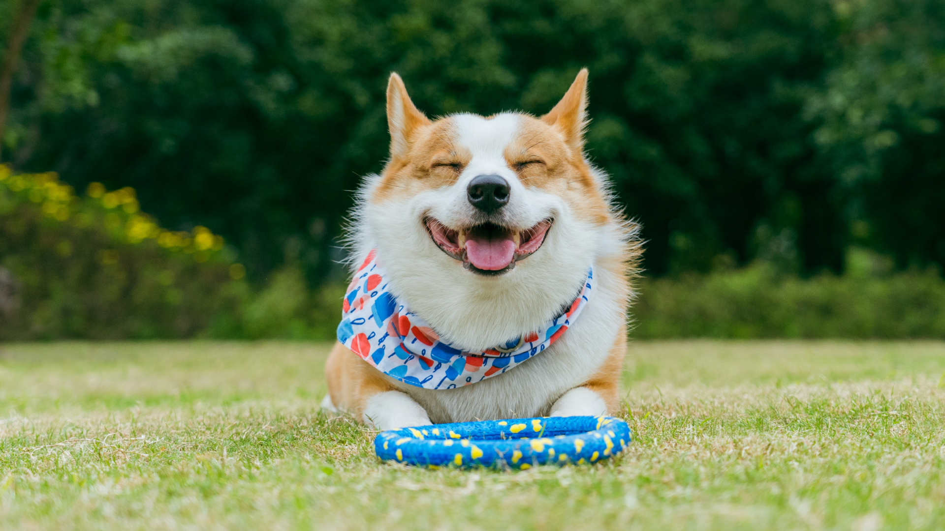 fundamentals of photo effects