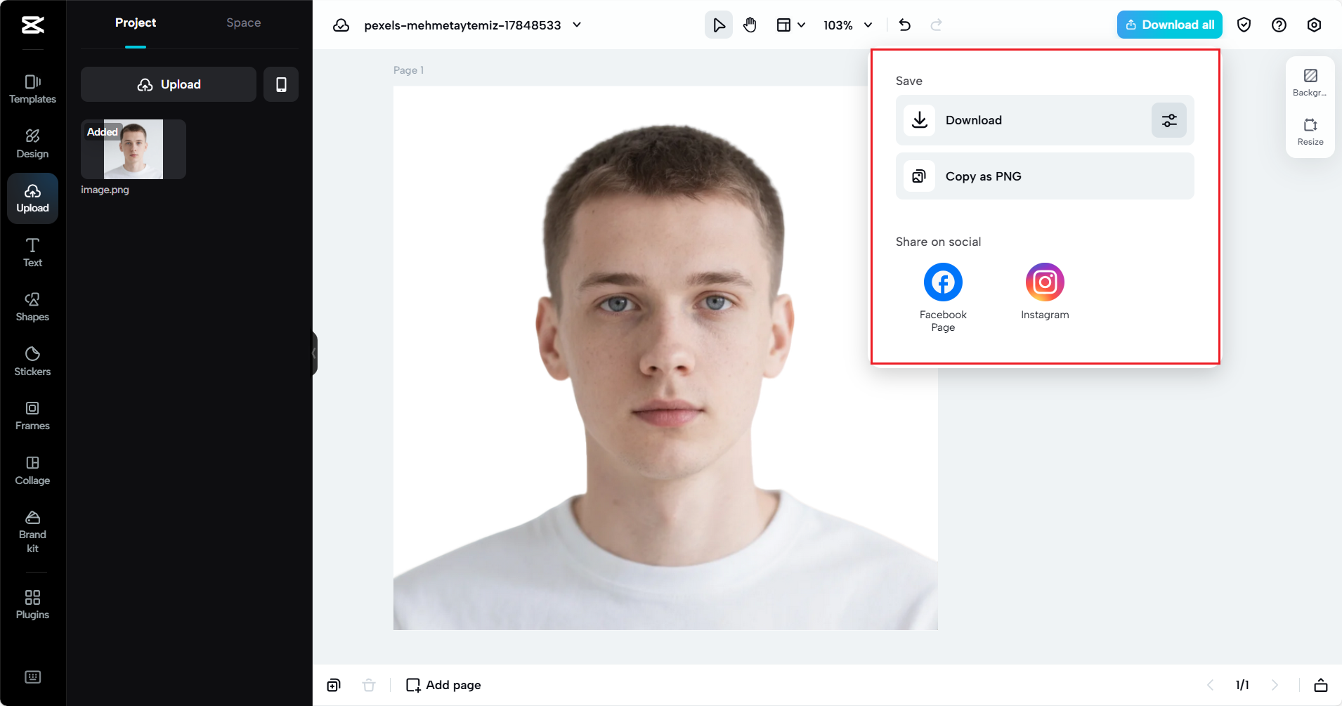 Tải xuống ảnh đã sẵn sàng để sử dụng làm hộ chiếu của bạn.