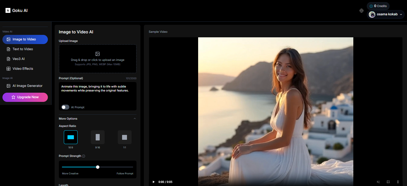 Access the Goku AI video generator