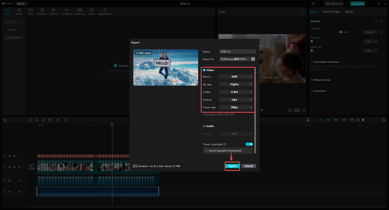 Export the video