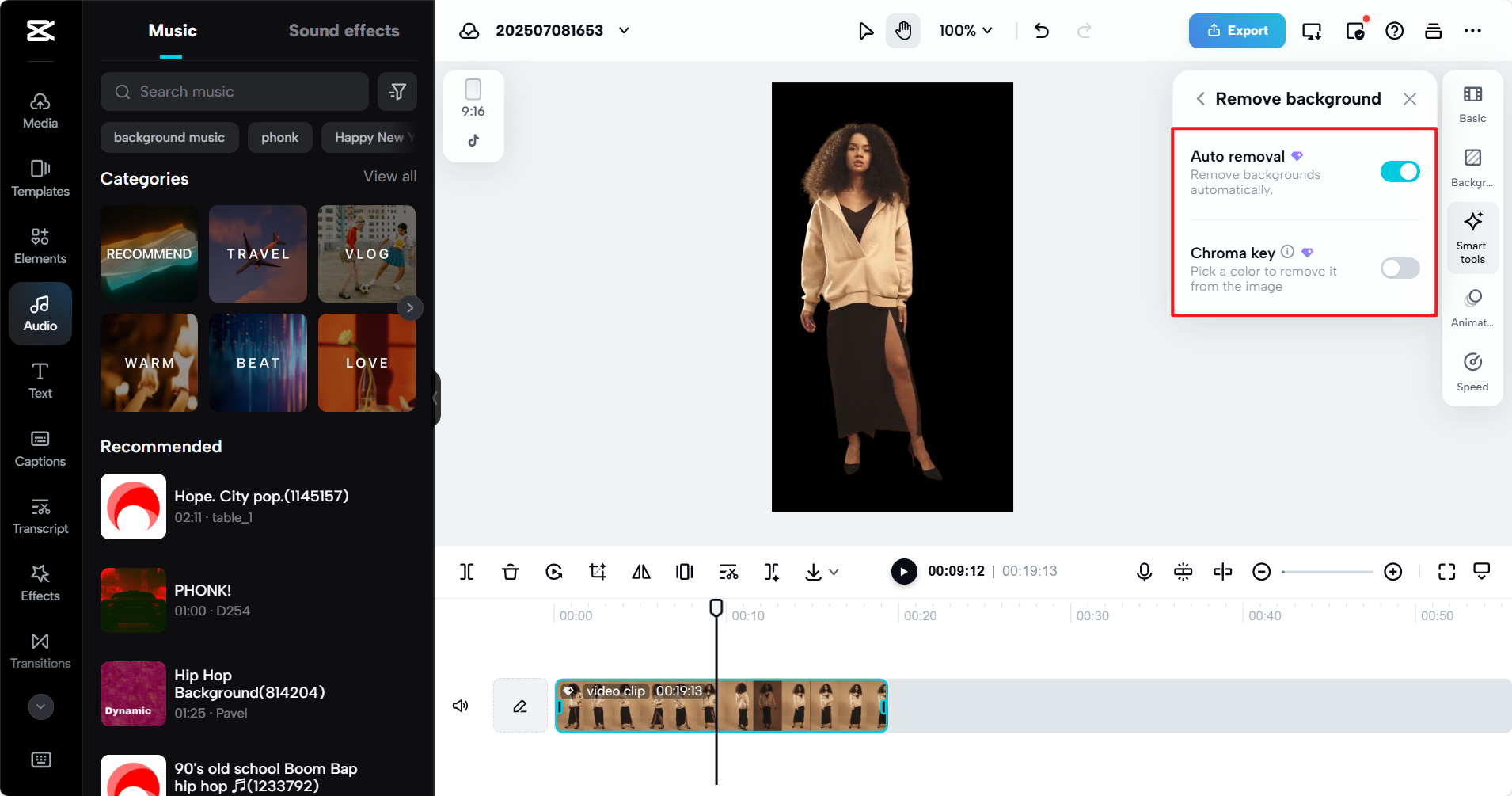 Advanced video background removal