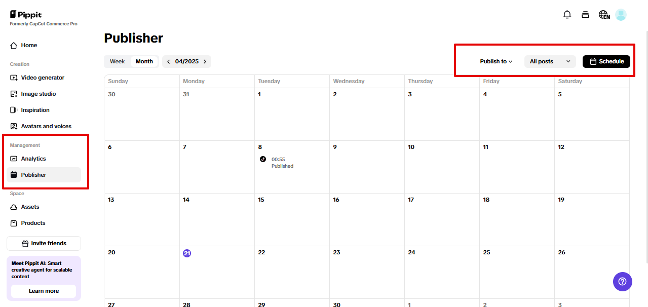 Pippit social media management tools