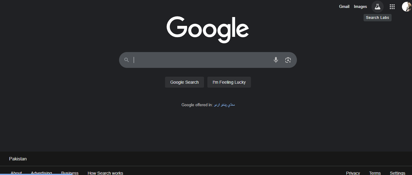 Access Search Labs on Google