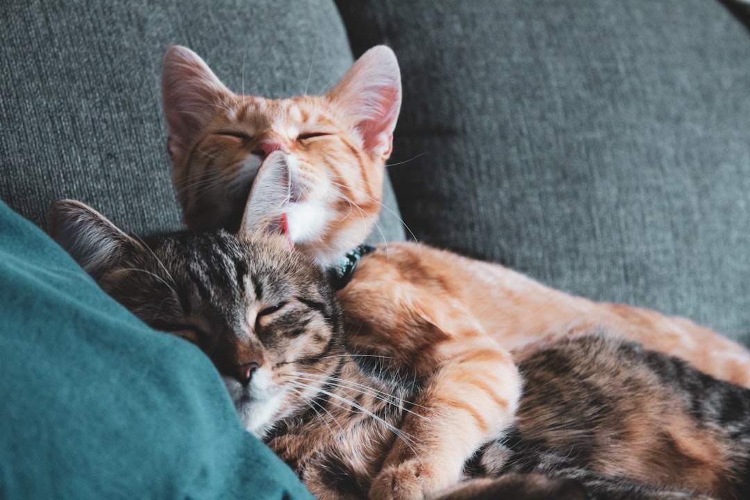 Two best friends hugging and smiling.