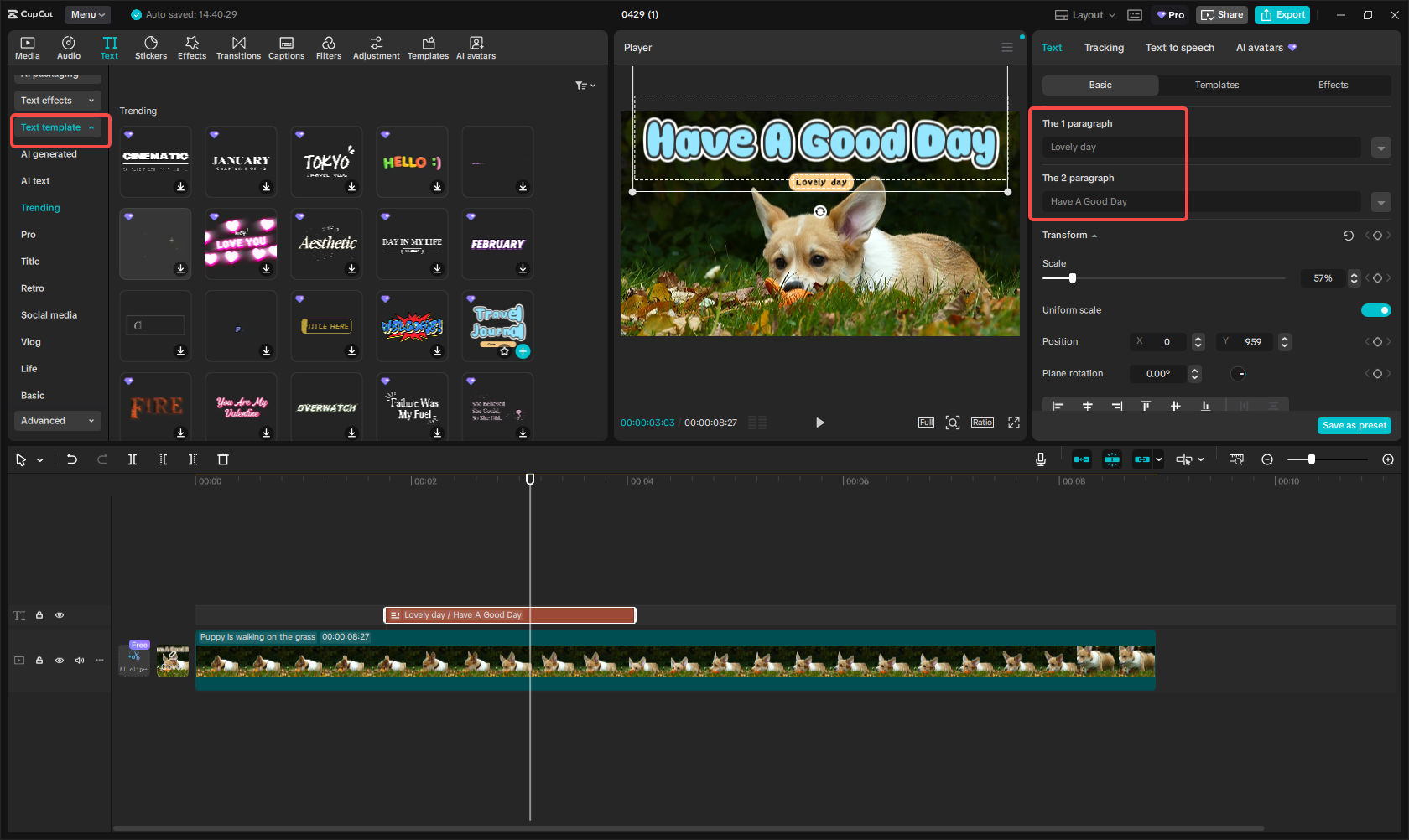 Apply text templates