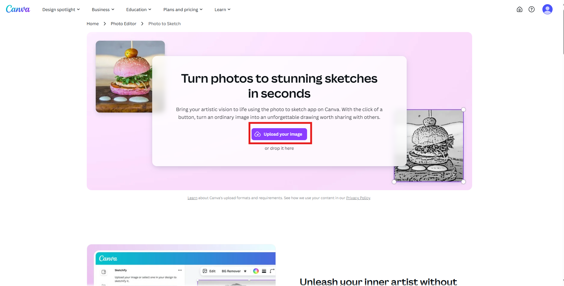 turn photo into painting free