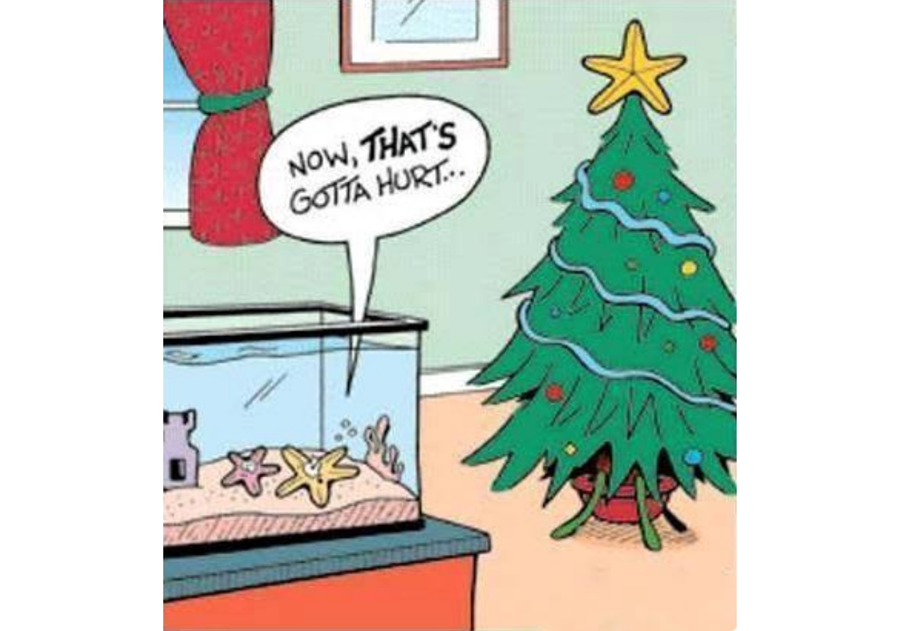 Christmas tree meme with tired crooked star