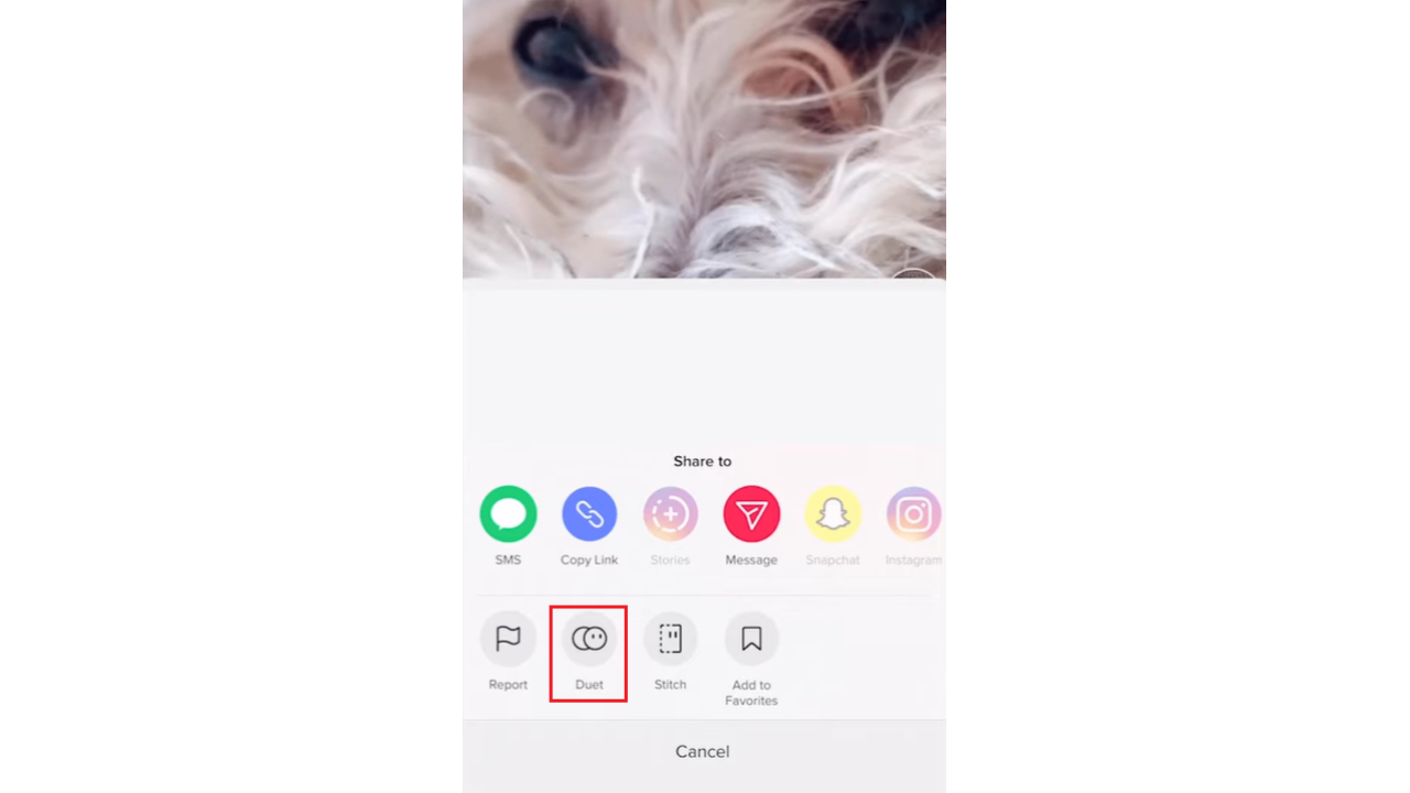 Find video and select duet option