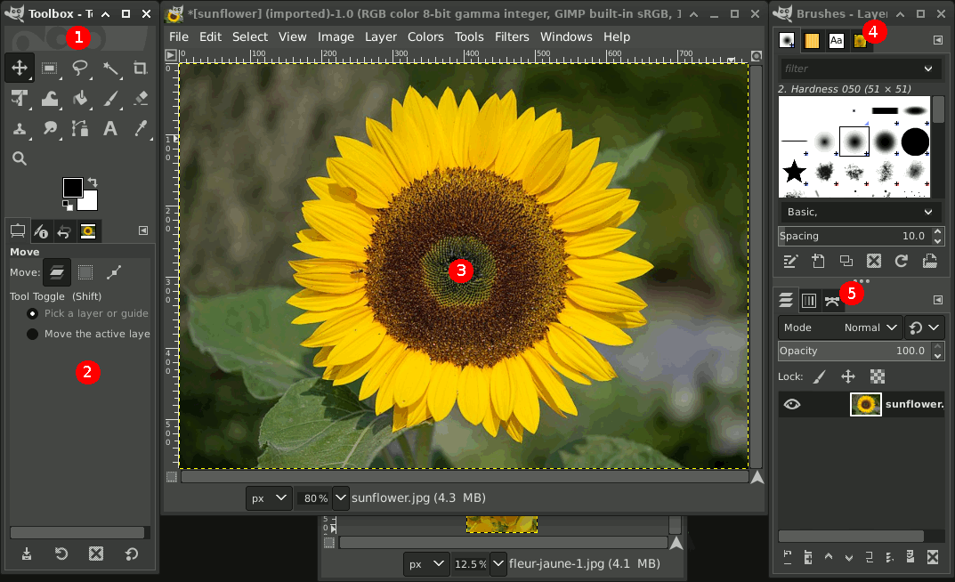 Best free alternatives to Photopea: GIMP