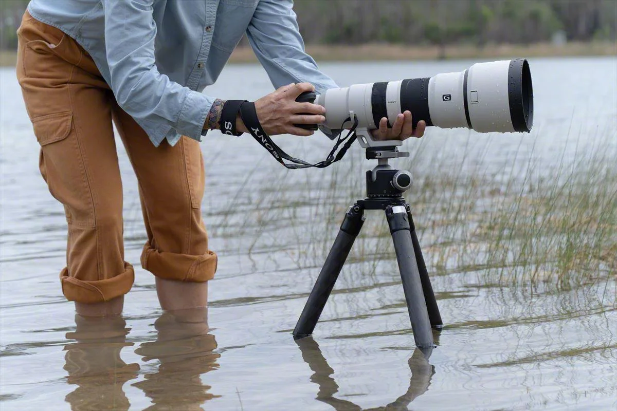 Zoom lens for wildlife photography