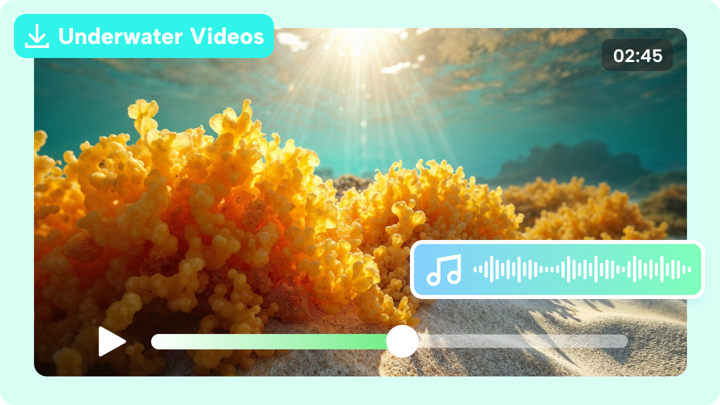 Vidéo sous-marine 