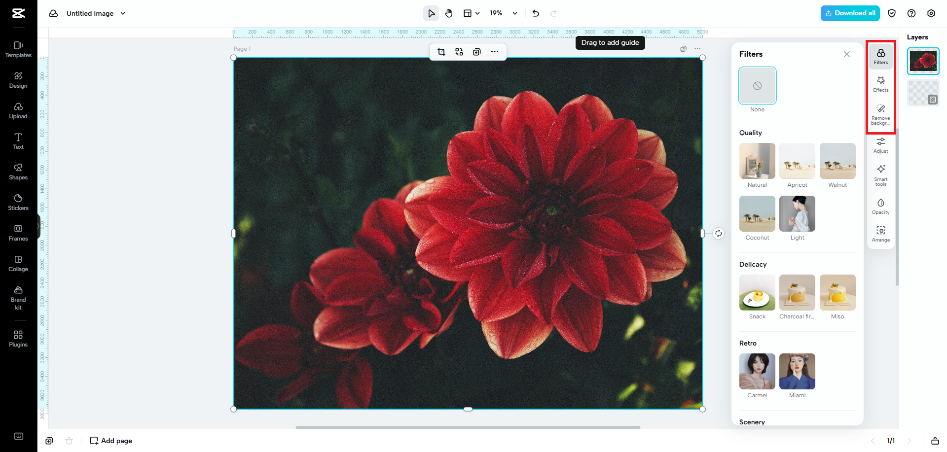 Explore filters/effects or remove image backgrounds
