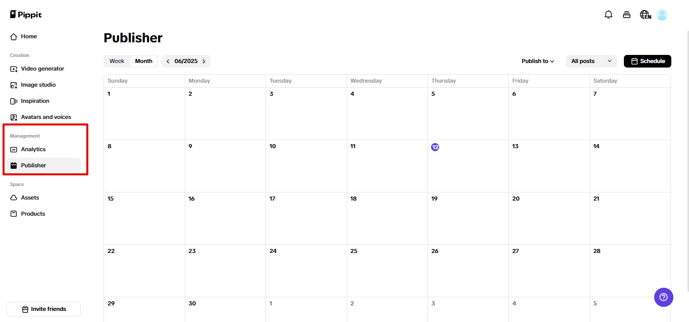 Auto publisher in Pippit