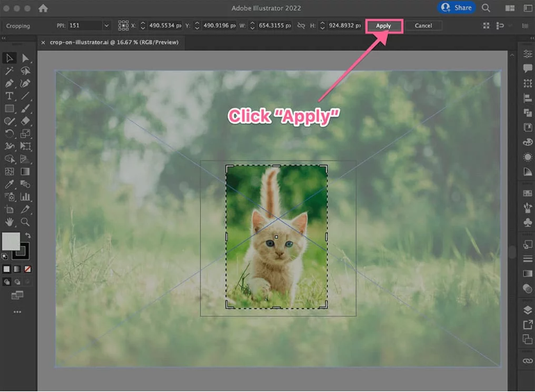 Showing how to crop an image in Illustrator using the Crop Tool