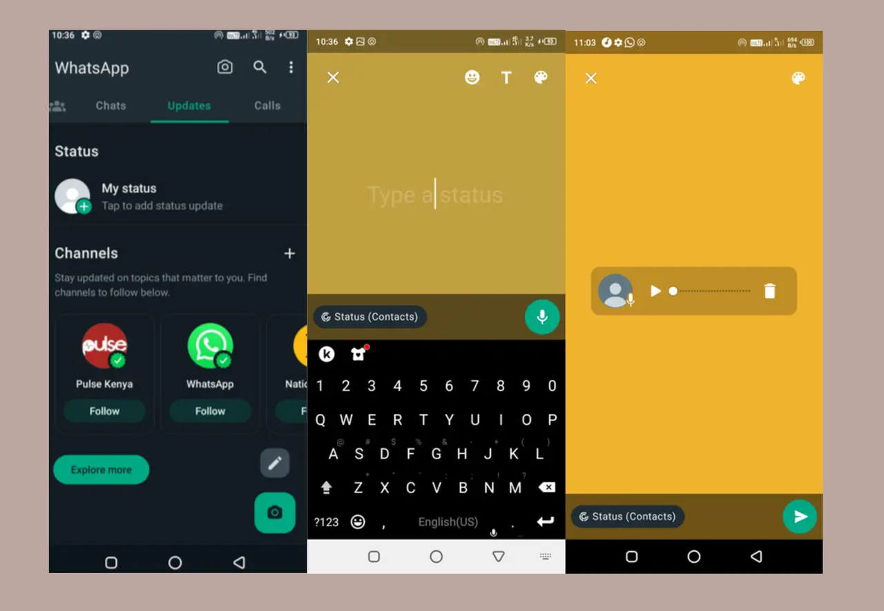 WhatsApp steps to record music for status